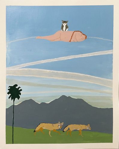 ACatChemTrailsCoyotes